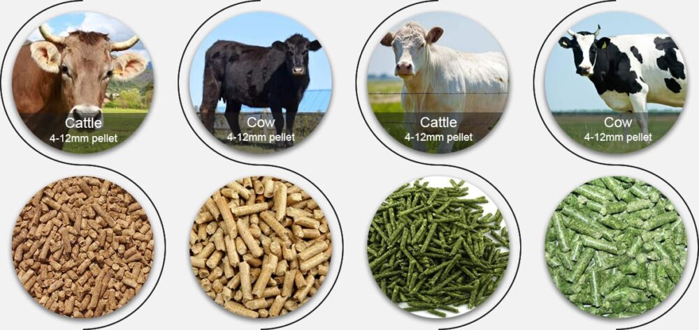 ANIMAL FEED WHOLESALE - Image 2